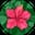  Kashish
